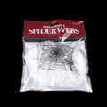 Stretchable Spider Web Decoration